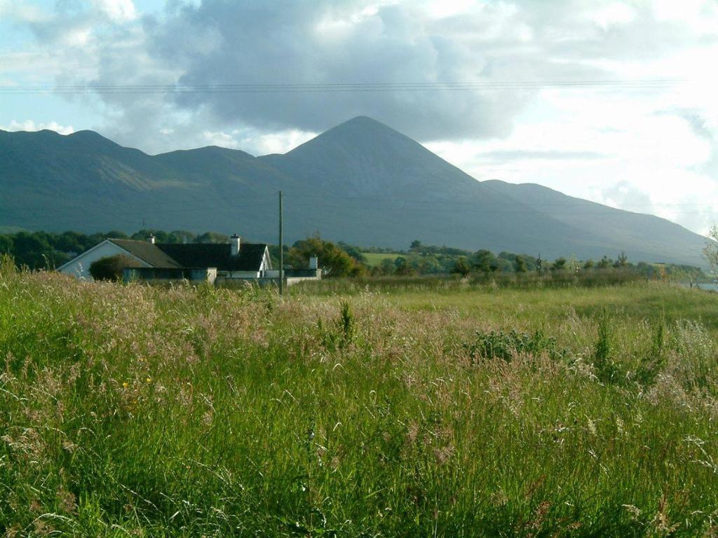 Cillcoman Lodge B&B Westport Exterior foto